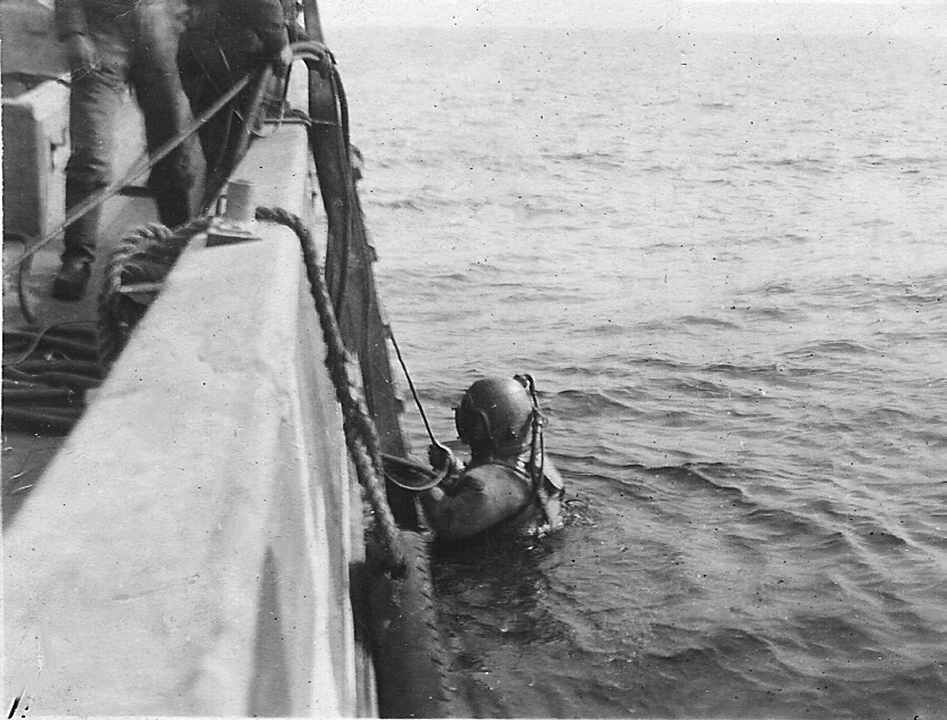 Dines Bogø